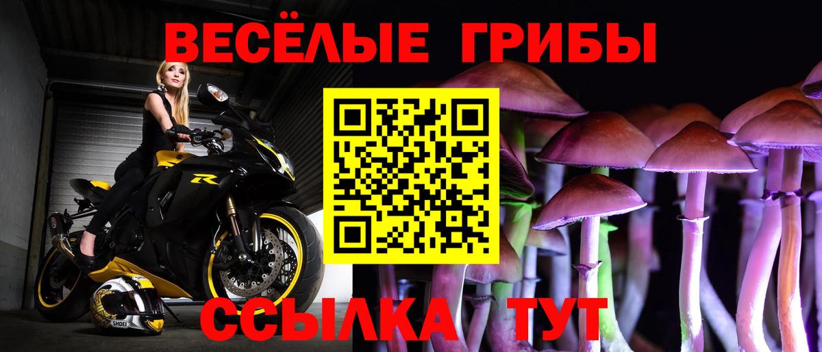 Россия  Псилоцибиновые грибы мицелий  Вход с VPN  Псилоцибиновые грибы Magic Shrooms 