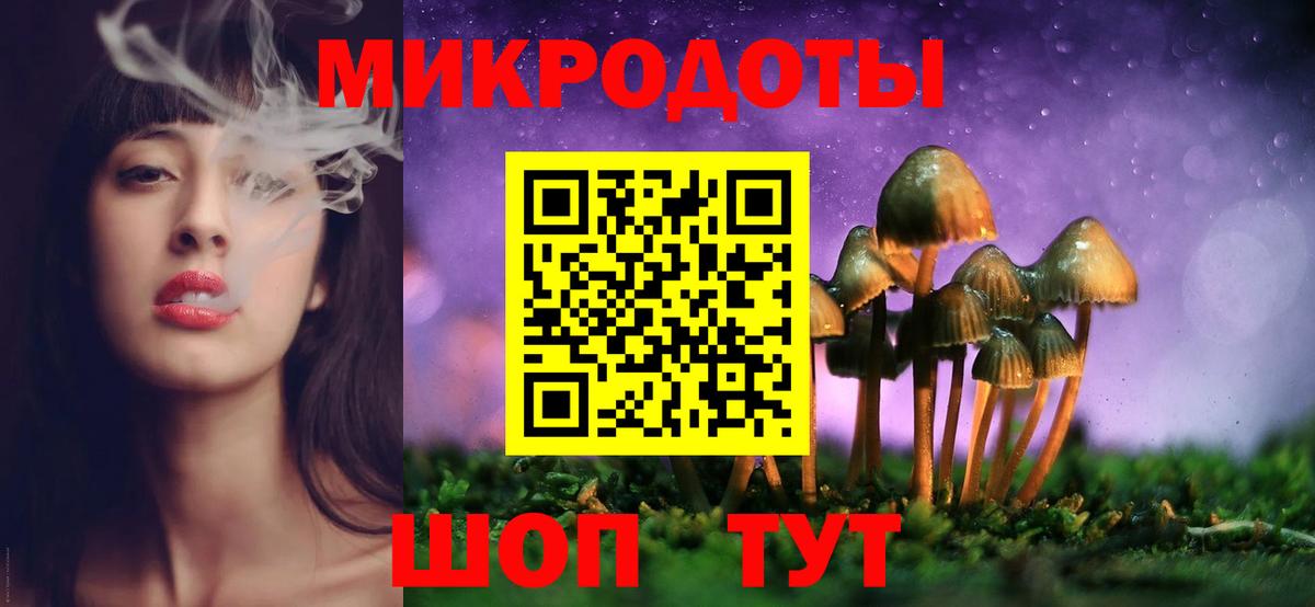Псилоцибиновые грибы прущие грибы Россия